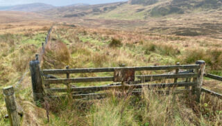 An over grown cate stands at the head of a wide valley