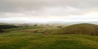 Standing at the top of a grassy landscape looking towards the sea, misty day.